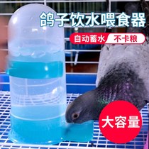 Pigeon automatic water feeding water drinking fountain kettle supplies utensils pigeon parrot box trough feeding bird feeder pigeon