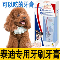 Tea Cup Dog Teddy Pooch Toothbrush Toothpaste Suit Special Small Dog Puppies Puppy Dog Accessories for Deodorant Pet Dog
