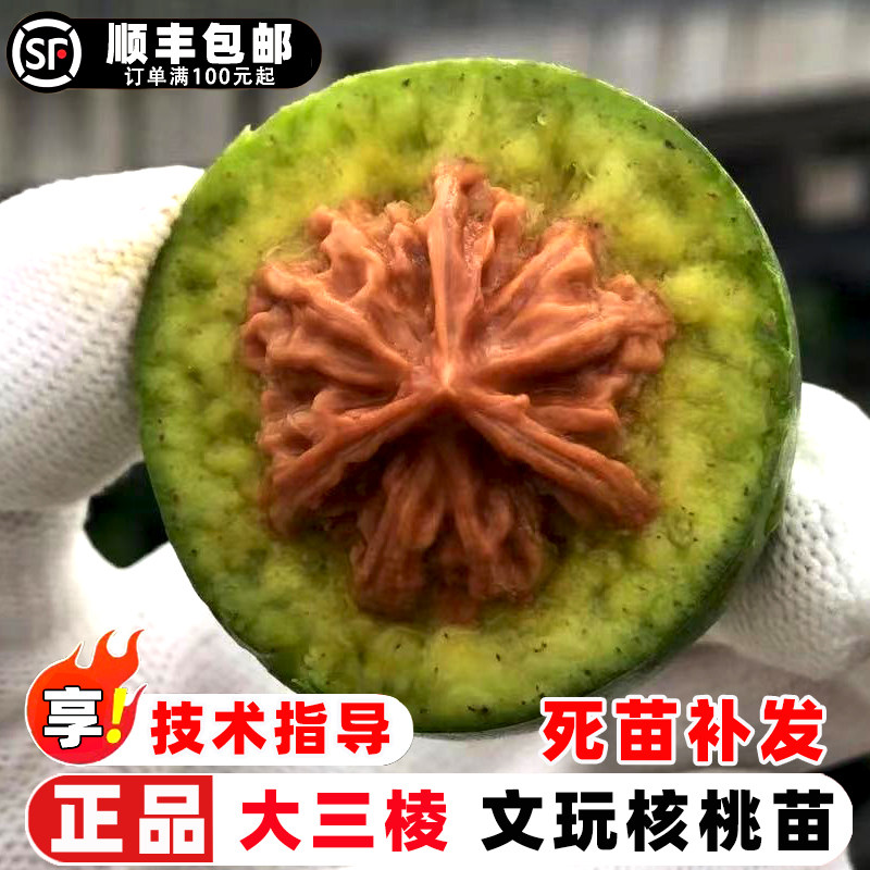 正奔三棱文玩核桃-正奔三棱文玩核桃促销价格、正奔三棱文玩核桃品牌- 淘宝