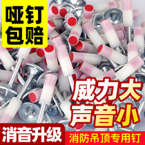 Ceiling God Instrumental Integrated Shooting Nail Special Silenced Gun Nail Steel Nail Submunition Gun Nail 42m6m8 Fire Nail Wood Keel
