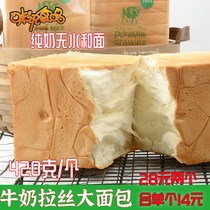 Taste News food pure milk brushed hand torn bread milk Fragrant hand torn bread breakfast toast breakfast toast 420g * 2
