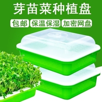 Sprout germination pot seedling tray Soilless cultivation hydroponic vegetable planting plate Sprout vegetable planting plate seedling plate
