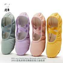 Northern dance Morandi color ballet dance shoes children womens body cat claws classical powder pink soft shoes practice shoes