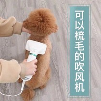 Pet hair dryer Shower artifact Hair drying Quick-drying Mute dog cat with hair drying pull hair comb