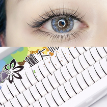 Fake Eyelash Fairy Fur Natural Emulation Graft Fairy Hair Self Adhesive Single Cluster Fish Tail Eyelash Mesh Red Mixed Suit
