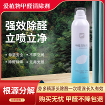 Love plant fentin formaldehyde scavenger new house furniture with deodorant strong spray to remove odor artifact