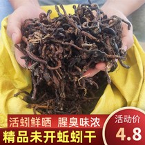 The entire dry qu shan dried earthworm Lumbricus qiu yin gan smelly earthworm green earthworm qu shan Big Earthworm