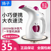 Yangzi hand hanging ironing machine household mini steam ironing machine electric iron humidification small ironing machine ironing machine