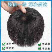Real hair head reissue block white hair invisible invisible hair increased female wig light and natural one-piece straight hair piece
