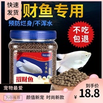 Zucai fish food feed special fish food map fish warship fish ornamental fish disease-resistant rotten body fish food