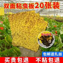 Yellow Plate Double-sided Adhesive Insect plate Trapping Plate Yellow small flying insect kill Stained Fruit Fly Needle Bee Glued Board Blue Plate Thistle Canopy
