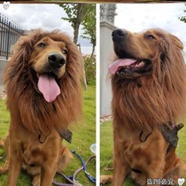 Dress up cute cat pet dog with the same large dog wig Golden hair funny net red pet lion head cover