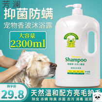 Little dog shower gel Teddy acaricidal antipruritic sterilization deodorant mites universal beauty hair shampoo to remove fleas and lice