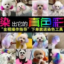 Pooch Hair Dye Hair Pet Special White Bibear Teddy Animal Kitty Stain stain Stain Hair Cream Bombbe