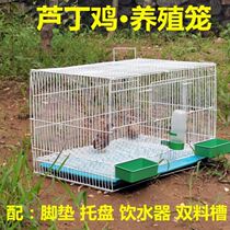 Special cage for Rutin chicken Quail cage Pigeon cage Breeding cage Big Budgerigar breeding cage Chicken distribution