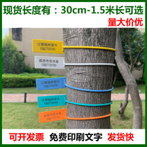 Disposable plastic seal lead seal anti-theft label cable tie two-dimensional code number seedling garden seedling Mark Lock length