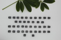 The size buckle number number for the pants bar on the west pants rack of the clothing store the number of the mark number the number of the plastic label u-shaped