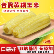 Heshengwai Northeast waxy corn 10 soft waxy sweet vacuum sticky corn non-GMO yellow corn 2200g