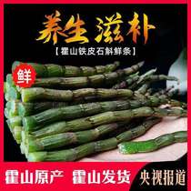 Fresh Dendrobium candidum fresh strips Huoshan Dendrobium Fengdou planting authentic nourishing Chinese medicinal materials for four or five years 500g