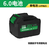Ruiba lithium battery special charger 4 0Ah Battery 6 0Ah battery