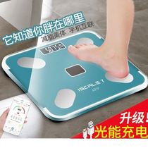 Body fat scale weight loss special weight scale charging electronic scale home Intelligent Precision weight measurement fat weight