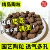 Товары от 花大师园艺旗舰店