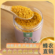Edible Lotus pollen 150g bottled Yunnan specialty bee field Lotus bee pollen