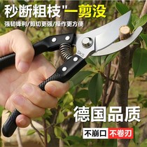Rough branch fruit tree pruning cutter gardening pruning branches garden labor-saving pruning flower branch shears household flower fruit branch shears
