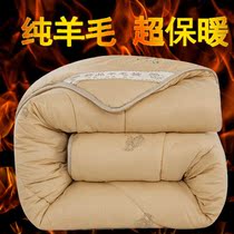 Special price wool is thickened by core autumn and winter thickened 4 catties 6 catty 8 10 catty of pure wool summer quilt with double warm thickened winter quilt