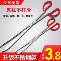Stainless Steel Eel clip eel clip Loach crab pliers anti-skid anti-slip grab special tools to catch the sea artifact