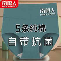 Antarctic 5 womens underwear womens pure cotton graphene cotton crotch high waist belly large size briefs women