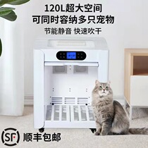 Dryer Pet Drying Case Cat Blower Special Silent Small Dog Dog Bath Blow Water Blower Blow blower
