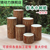 Log stake round small wood wedding stump fence fireplace decoration props wooden pier ornament large round wooden pile
