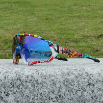 Kapvoe photochromic Cycling Glasses whoolesale Polarized Spor