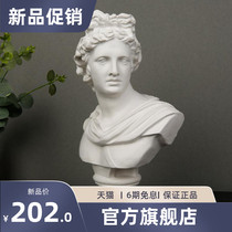 Chamomile drawing material Apuro small stone paste like sculptural pendulum figure head portrait statue art sketch teaching aid room decoration European-style portrait model chest like