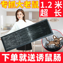 Rat Stick Powerful Sticky Rat Board 1 2 m Step up Thickened Glue Catch Mouse Stickler Stickler for a mousetrap of mousetrap