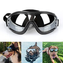 Pet glasses sun glasses dog glasses sunglasses goggle Golden Samoyed giant wind cool sunscreen