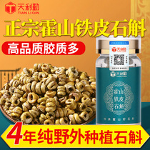 Hosan Dendrobium Dendrobium Maple Fresh Strips Health Care Dry Flower Dendrobium Pure Powder 500g Non-Chinese herbal medicine
