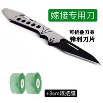 Folding grafting knife graft fruit tree grafting knife special steel connection wood special knife cut wood grafting tool graft film