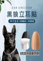 Dog Ears Correction Vertical Ear Instrumental Puppies Erect Ear Stickup Dogs Stand Ear Theorist Aids Dubine Dog Dönke Köki