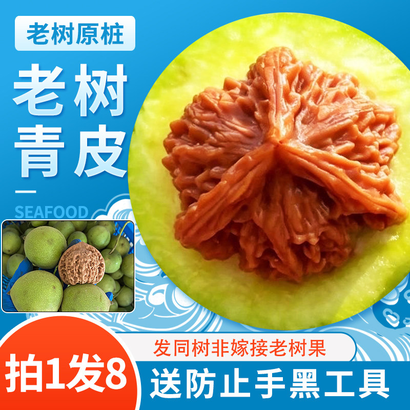 老树文玩核桃-老树文玩核桃促销价格、老树文玩核桃品牌- 淘宝