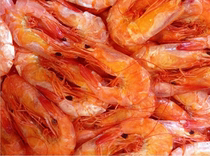 Zhoushan Special Produce Ningbo Seafood Microwave Grilled Shrimp 500 gr Light Dry Ready-to-eat Dry Goods Zero Food Great Prawn Dry