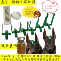 Dogs stand ear deities dog ears stand ear instrumental puppies dog ears correction Kirky vertical ear stickup with dupin auxiliary fixing