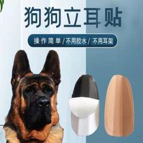 Dubin Dog Stand Ears shepherd dogs Black Wolf Horse Dog Stand Ear deluge No Glue Erect Ear Stickler without injury of ear