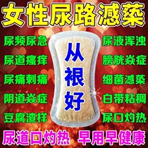 Sanitary Pads Womens Pure Cotton Bacteriostatic to Taint Anti-Itch Bacteriostatic Mold Sex Vagina and Dirty Traditional Chinese Herbal Pads Cotton Soft