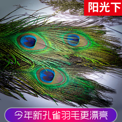 taobao agent Peacock feather tail big eye DIY jewelry home ornament flower arrangement setting living room wedding vase decoration