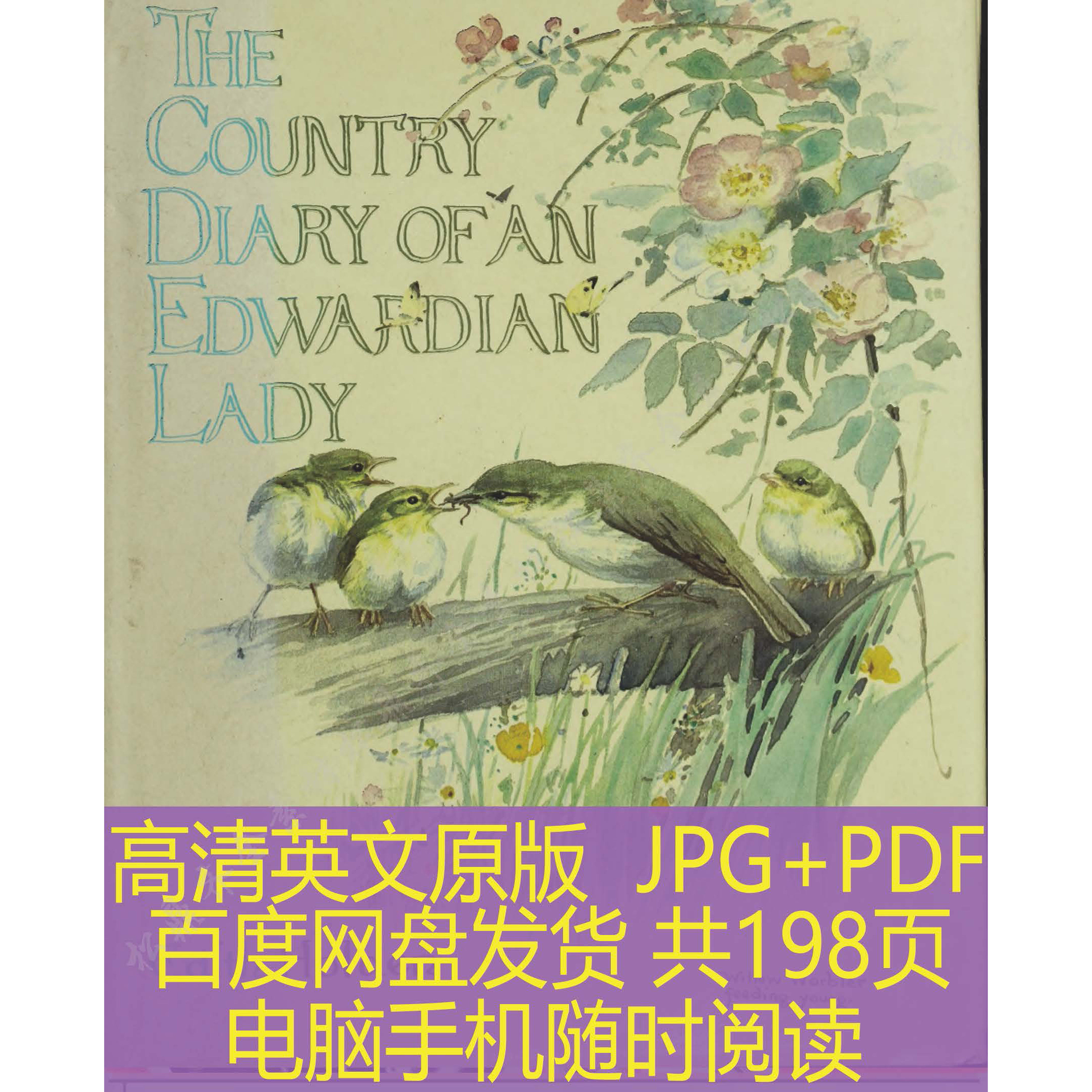 伊迪丝-伊迪丝促销价格、伊迪丝品牌- 淘宝, image size:5000x5000