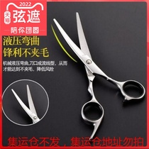 Professional give the pooch of the pooch the feet slapped thin and small manicure shave sleeve lower bend cut straight cut pet scissors steel