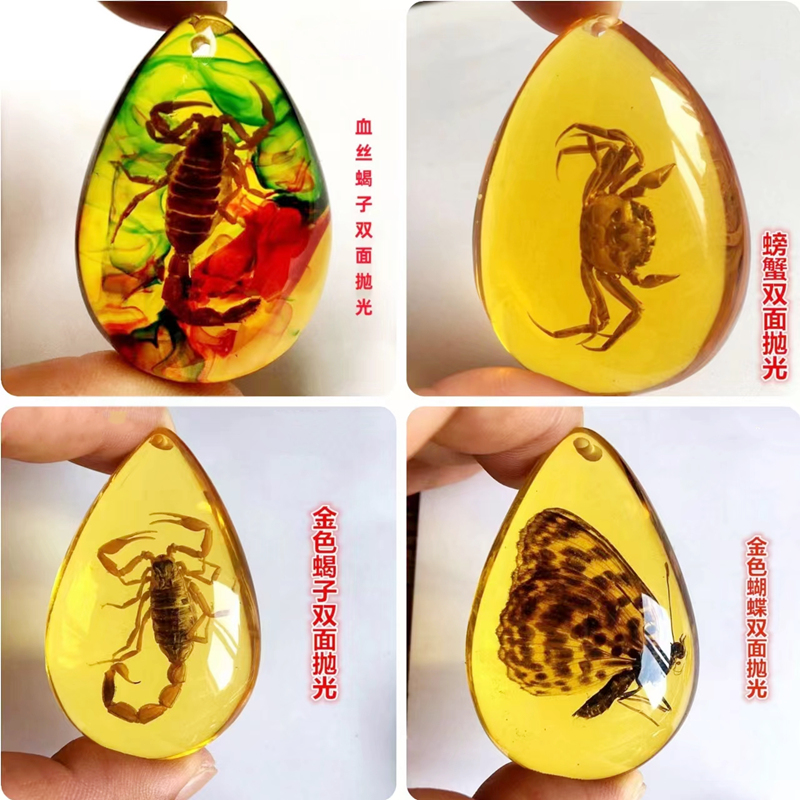 琥珀昆虫標本小学校教科書人気昆虫琥珀樹脂装飾品蝶蟹クリエイティブペンダント子供のギフト