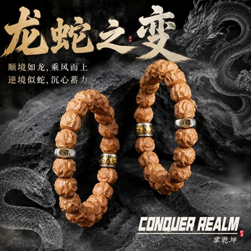 二龙戏珠文玩核桃-二龙戏珠文玩核桃促销价格、二龙戏珠文玩核桃品牌- 淘宝
